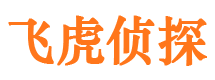 东洲市调查公司